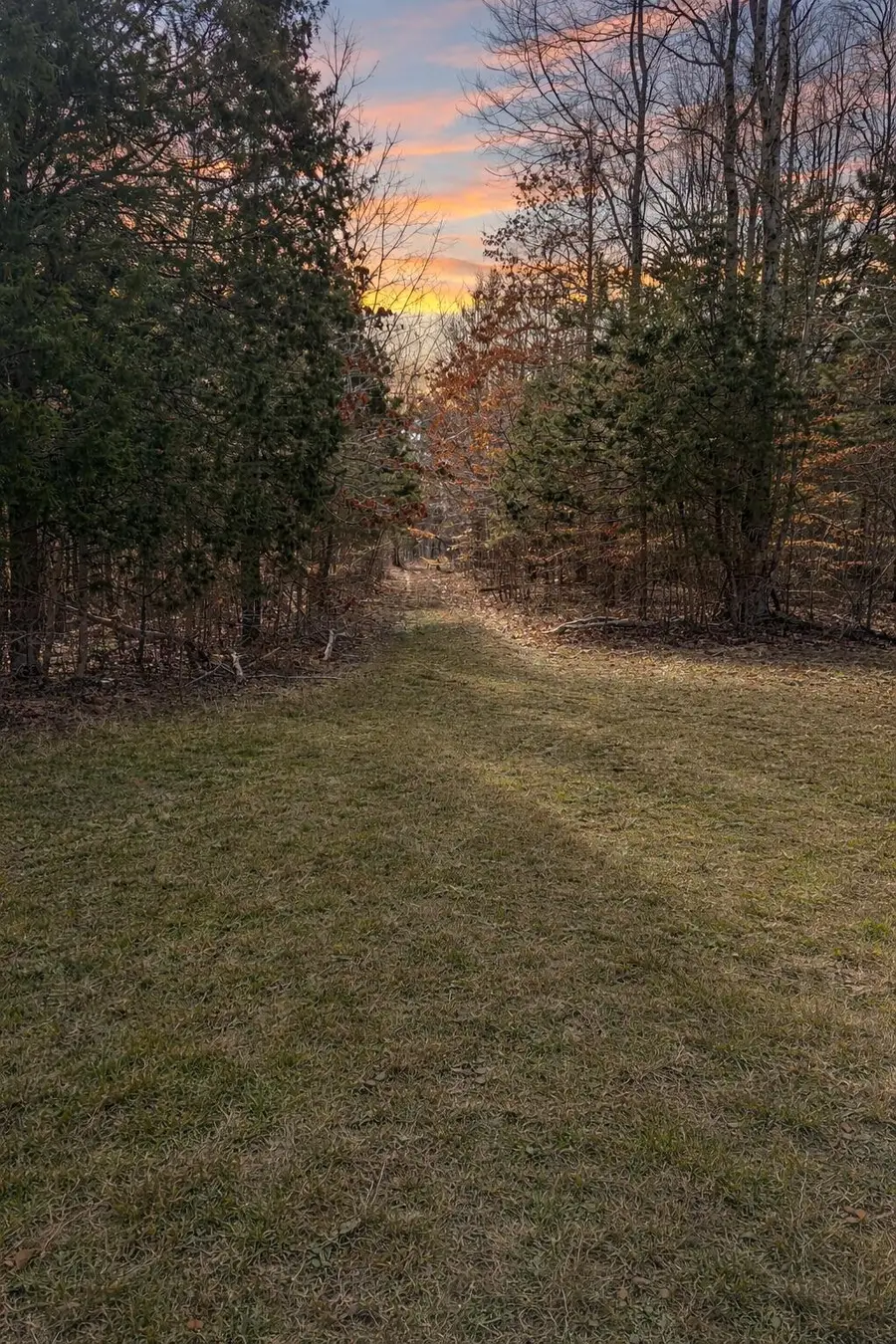 2287 Butcher Ridge Rd, Cumberland Furnace, TN 37051 - #3