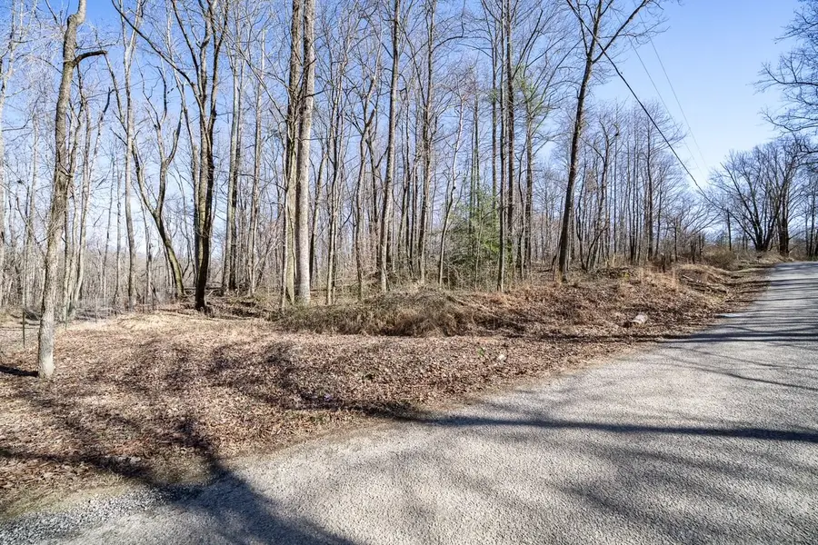 0 Old Altamont Rd, Tracy City, TN 37387 - #3