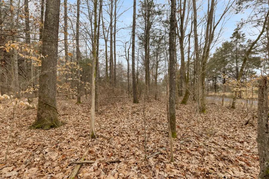 0 Gray Rd, White Bluff, TN 37187 - #3