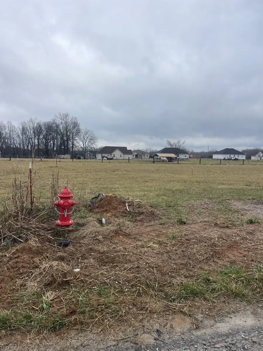 5 Mcnabb Lane, Lafayette, TN 37083 - #3