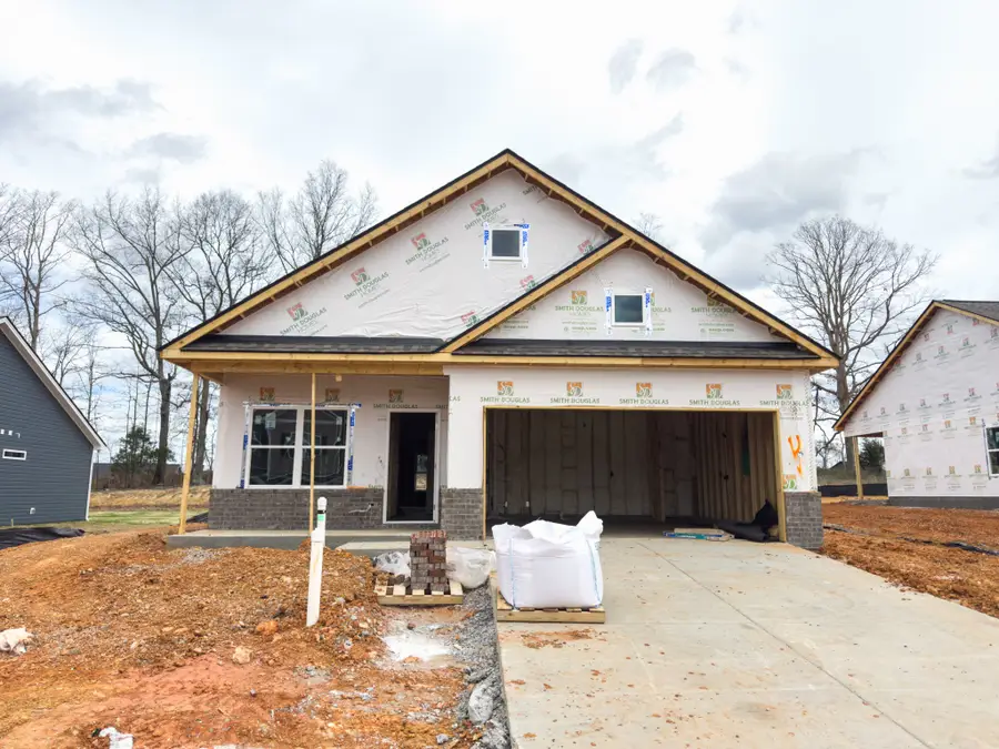 321 Idell Court, Clarksville, TN 37042 - #2