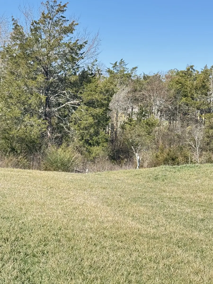 5033 Ozment Dr, Nolensville, TN 37135 - #2