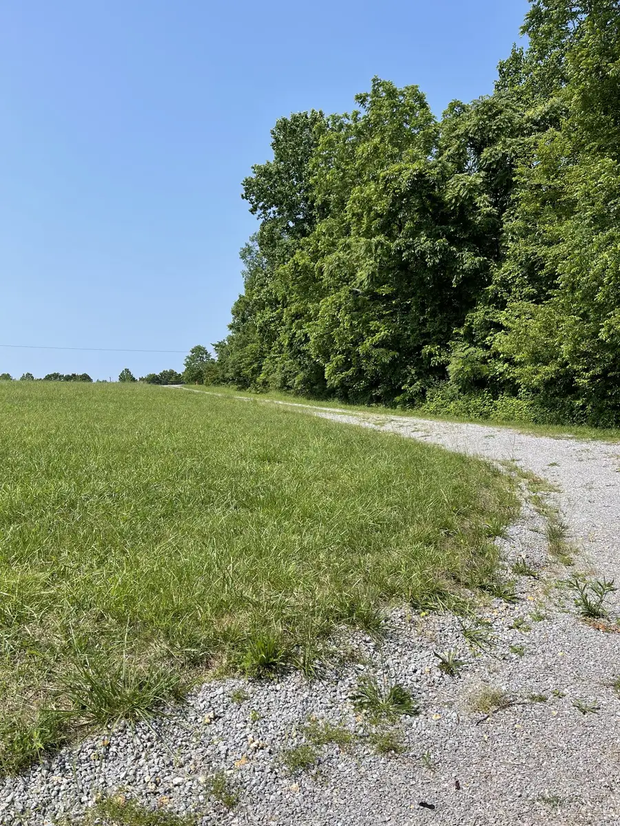 7908 Daugherty Capley Rd, Primm Springs, TN 38476 - #3