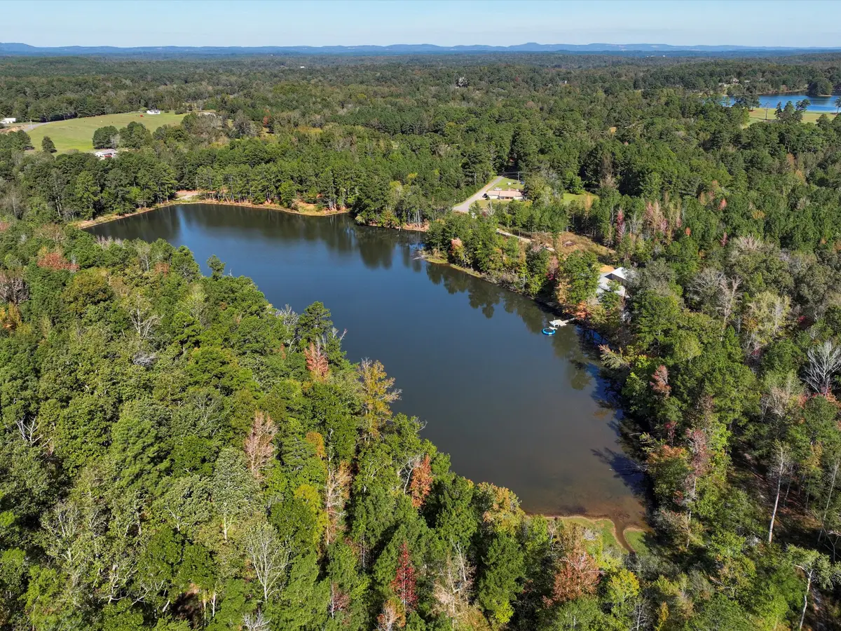 4453 Marsh Mountain Cutoff, Pinson, AL 35126 - #1