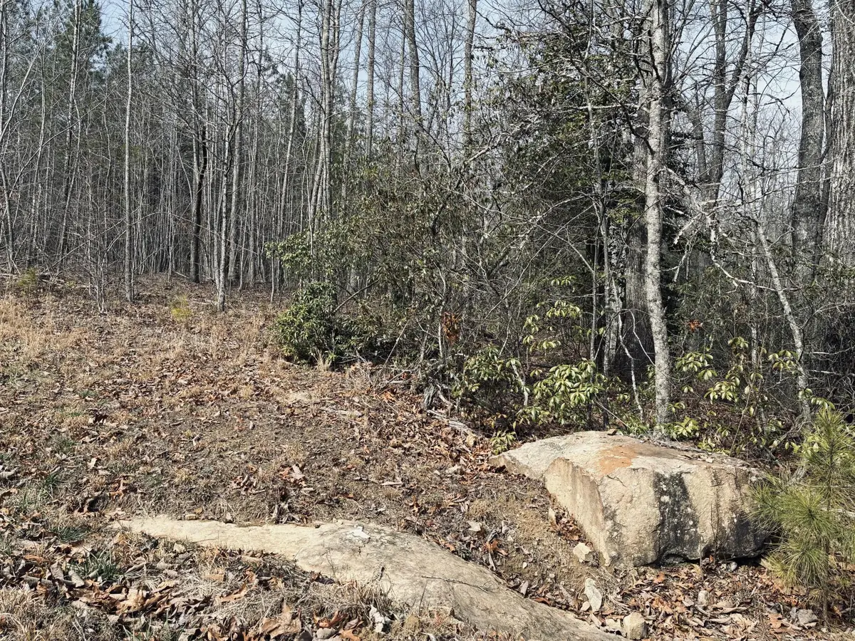 0 Raulston Falls Road, Jasper, TN 37347 - #1