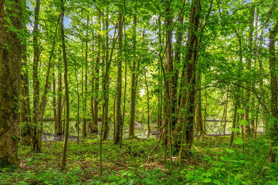 164 Lewis Cir, Dover, TN 37058 - #3