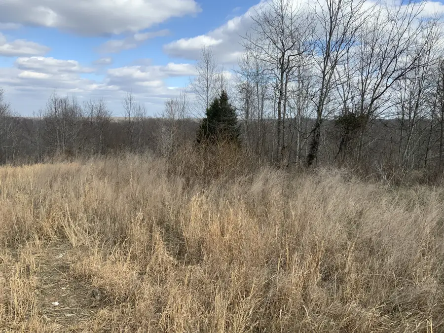 0 Topside Drive, Dover, TN 37058 - #3