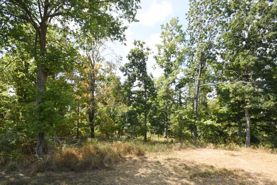 0 Moore Hollow Road, Indian Mound, TN 37079 - #2