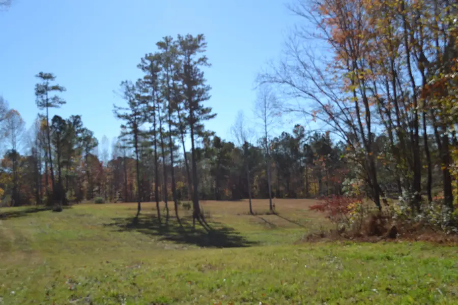 0 Whitson Hollow Rd, Red Boiling Springs, TN 37150 - #2