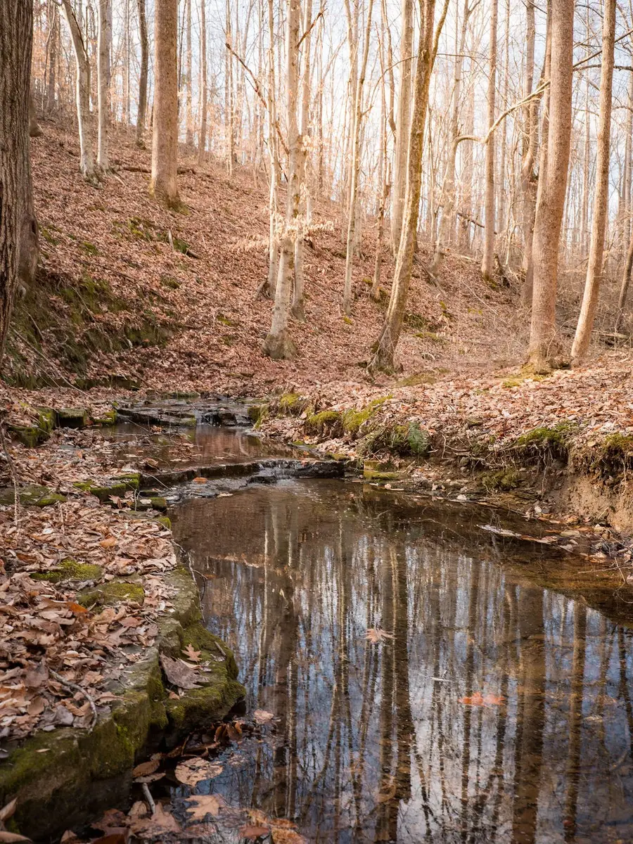 5512 Old Hwy 96, Franklin, TN 37064 - #3