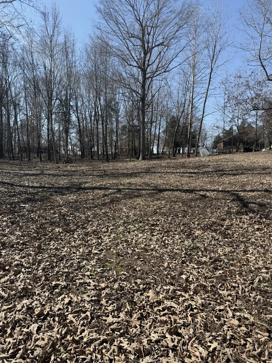 343 Wesley Ln, Cadiz, KY 42211 - #2