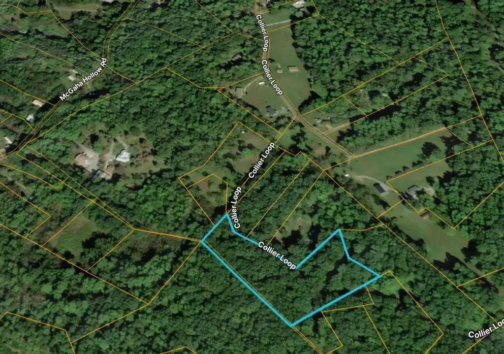 1419 Collier Loop, Dandridge, TN 37725 - #1