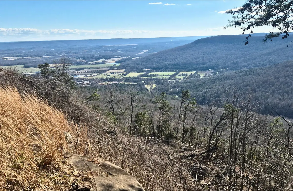 9 Lodge Point Road, South Pittsburg, TN 37380 - #1