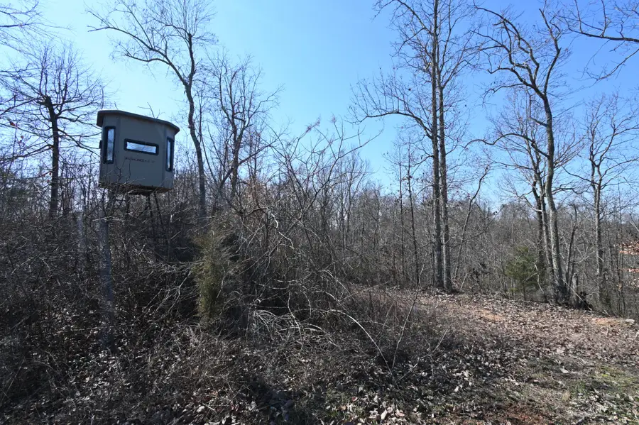 0 Highway 128, Clifton, TN 38425 - #3