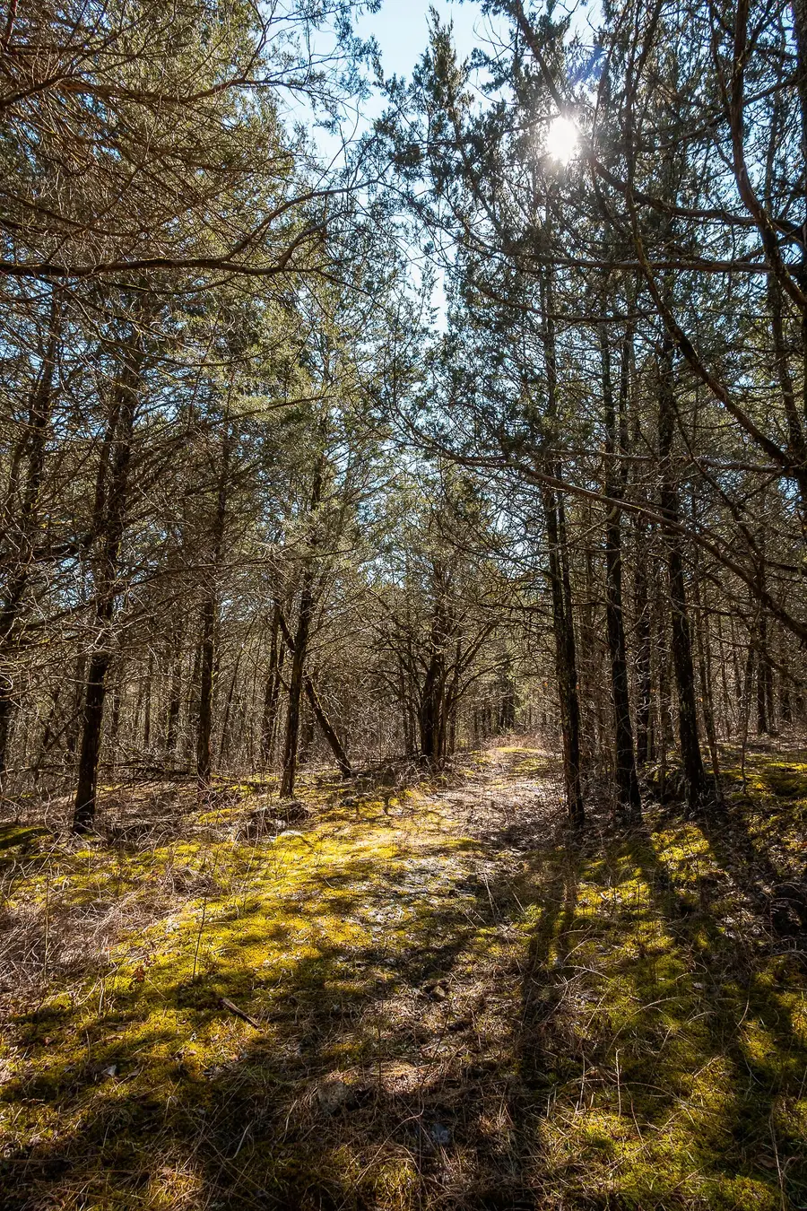 0 Cooper Hollow Rd, Auburntown, TN 37016 - #3