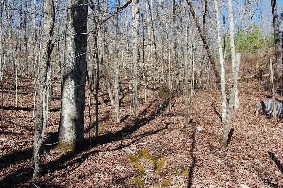 5 Pickett Cross Road, Whitwell, TN 37397 - #3