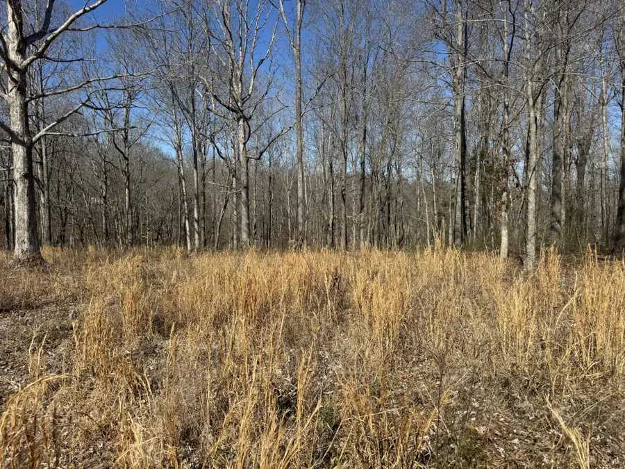 0 Primm Rd, Ashland City, TN 37015 - #2