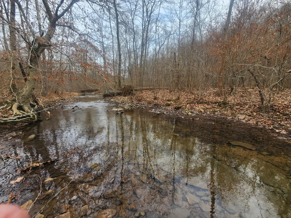 10 Blowing Springs Rd, Lawrenceburg, TN 38464 - #1