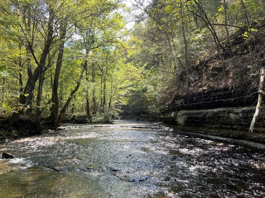 34 Johnson Lane, Loretto, TN 38469 - #3