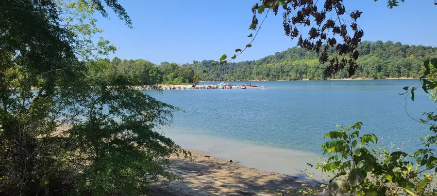 2563 Hardin Bottom River Rd, Clifton, TN 38425 - #3