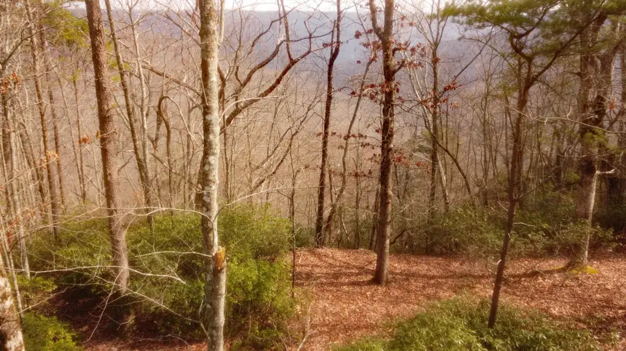 0 Ravens Den Rd, Sewanee, TN 37375 - #3
