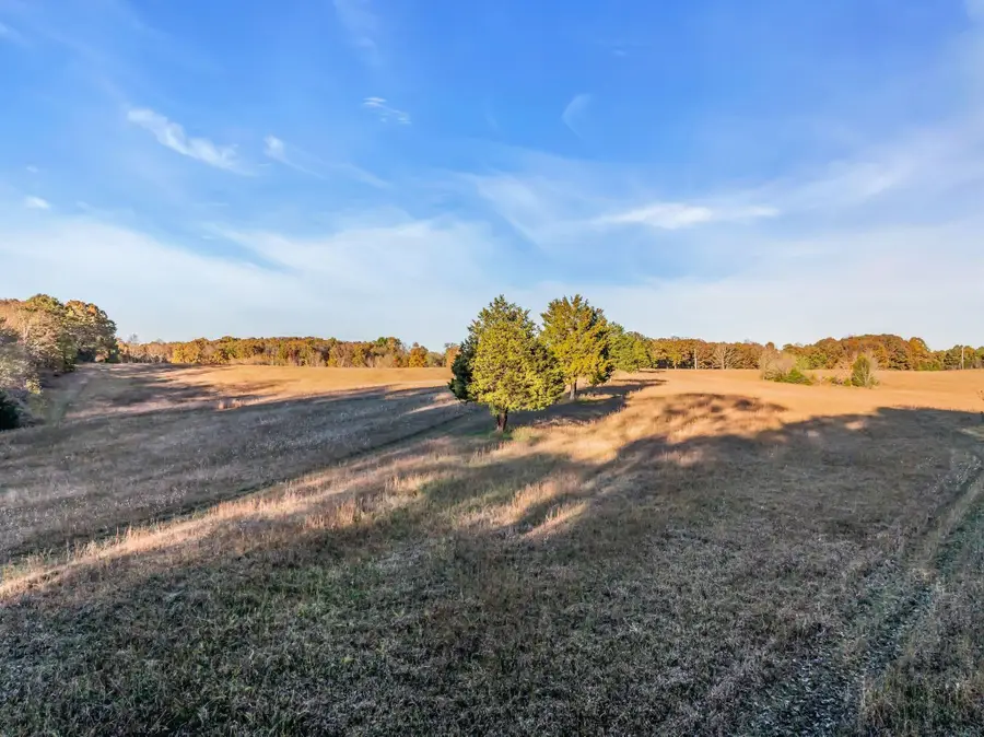 0 Wilson Hollow Road, McEwen, TN 37101 - #3