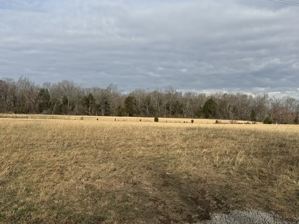 783 Mount Vernon Rd, Bethpage, TN 37022 - #1