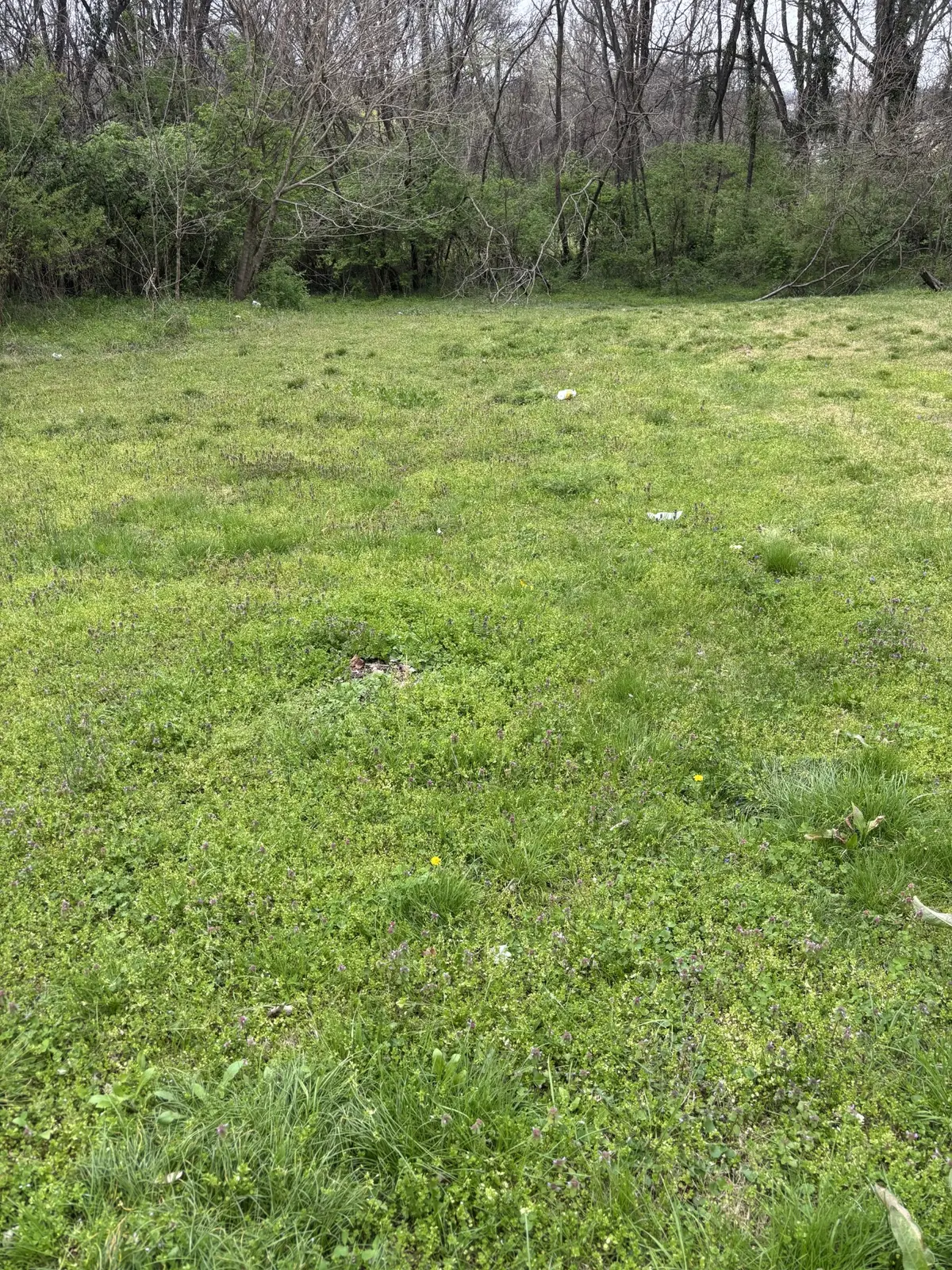 0 W 3rd St, Columbia, TN 38401 - #1