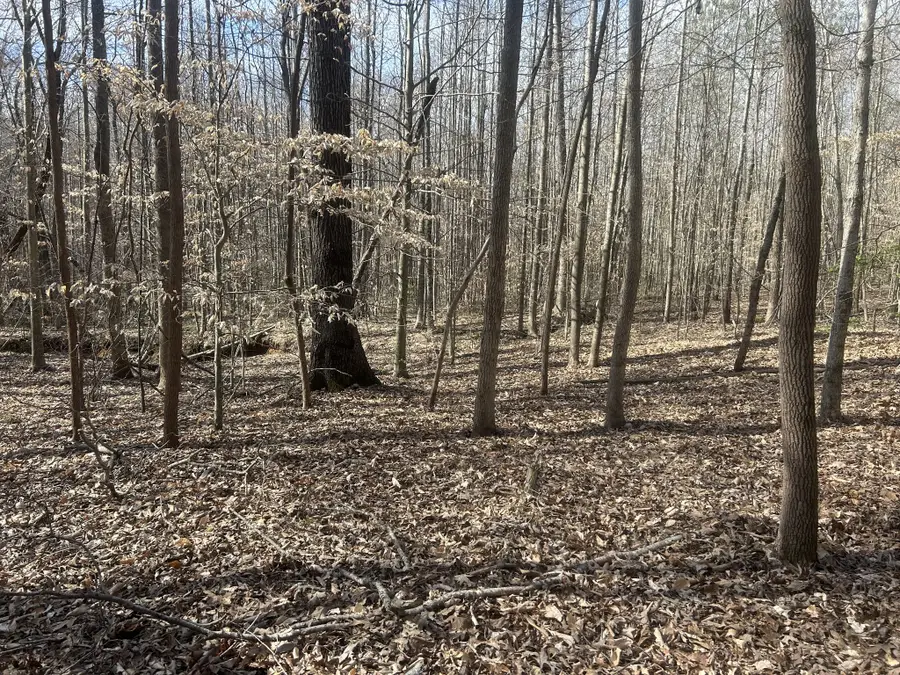 0 Mount Carmel Rd, Camden, TN 38320 - #2