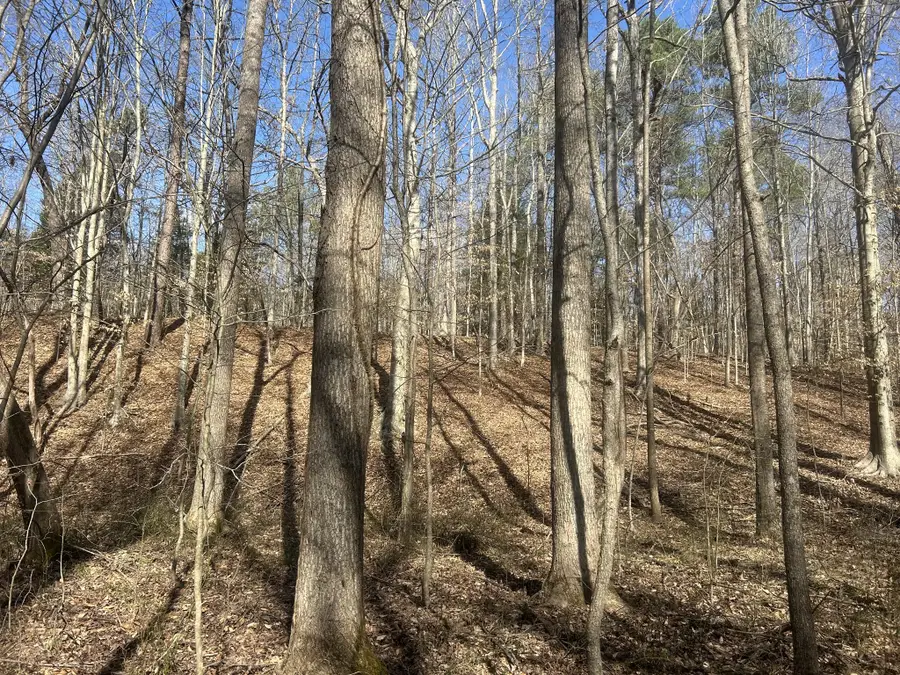 0 Mount Carmel Rd, Camden, TN 38320 - #3