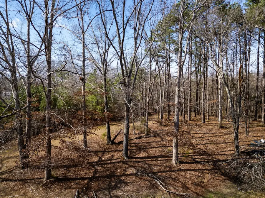 500 Highway 96 N, Fairview, TN 37062 - #2