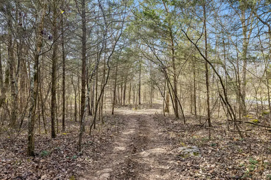 7 Paschal Rd, Unionville, TN 37180 - #3