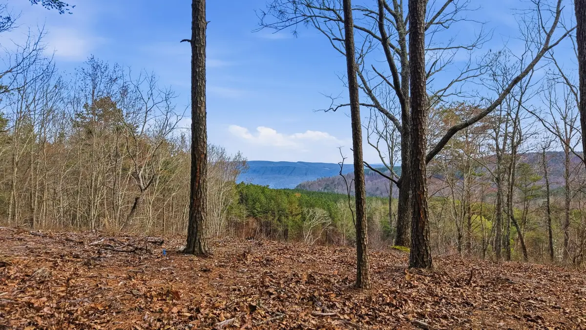 2154 Fallen Oak Pass, Guild, TN 37340 - #1
