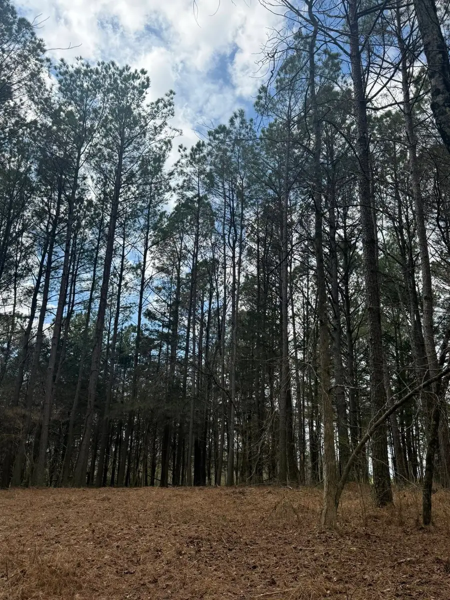 5583 Pedigap Rd, Morrison, TN 37357 - #2