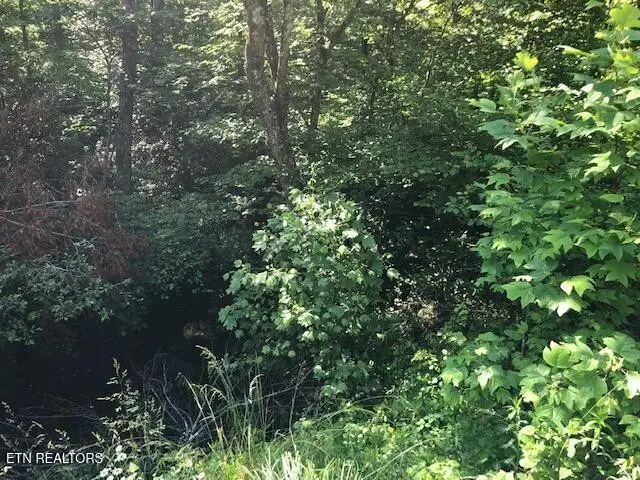 0 Street Place Loop, Monterey, TN 38574 - #2