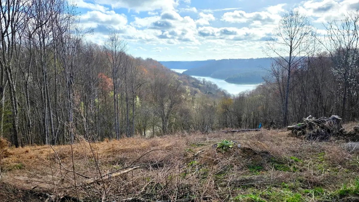 109 Deer Path Ct, Smithville, TN 37166 - #1