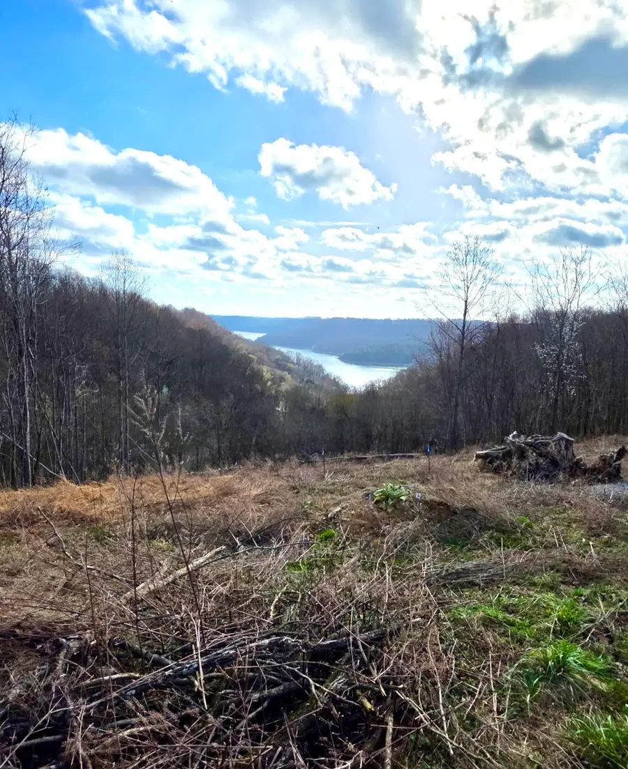 109 Deer Path Ct, Smithville, TN 37166 - #2