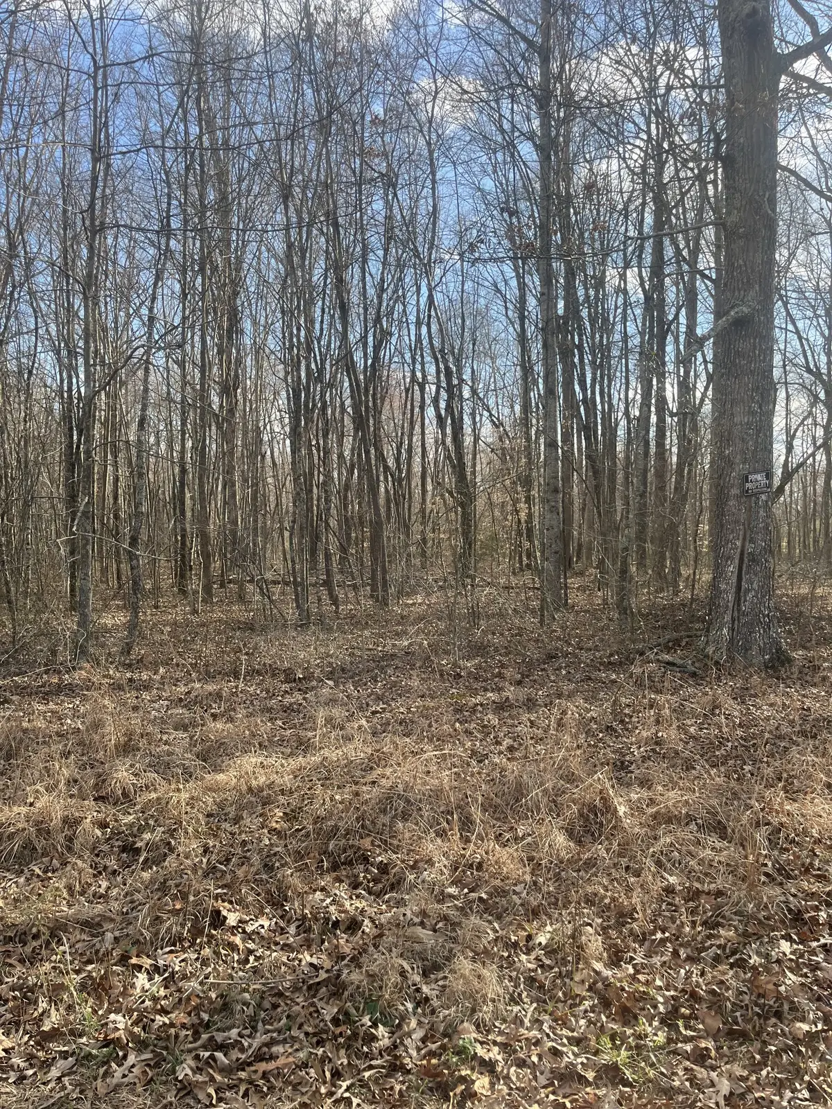 0 Boynton Valley Rd, Manchester, TN 37355 - #1