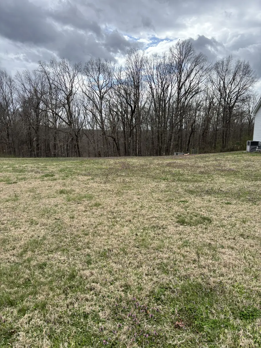 6020 Highway 230, Lyles, TN 37098 - #3