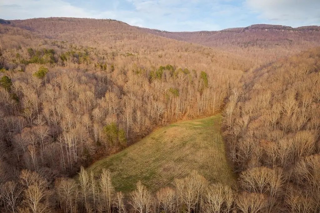 0 Buffalo Cove Ln, Jamestown, TN 38556 - #1