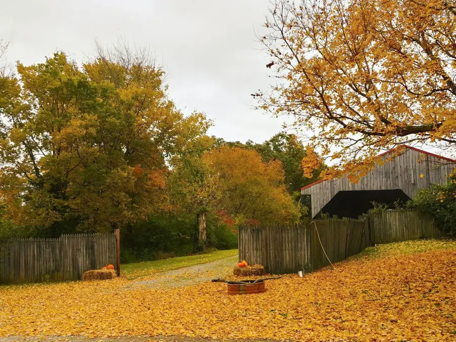 5977 Old Highway 431, Springfield, TN 37172 - #2