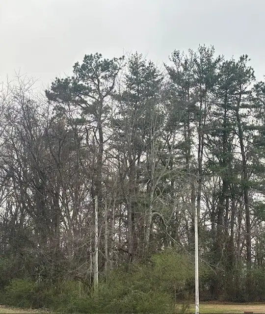 102 Lake Dr W, Dickson, TN 37055 - #2