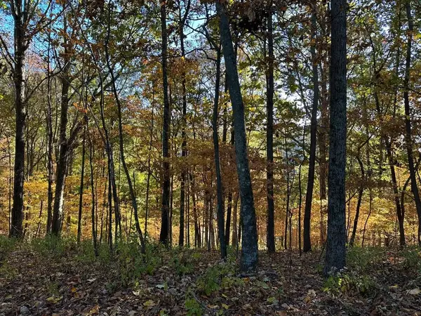 373 Old Hwy 18, Tennessee Ridge, TN 37178