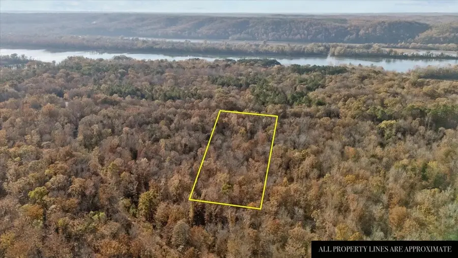 0 Cuba Landing Rd, Waverly, TN 37185 - #2