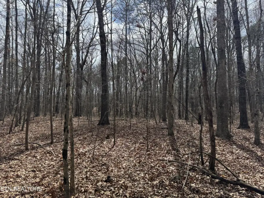 1261 Roanoke Rd, Jamestown, TN 38556 - #3