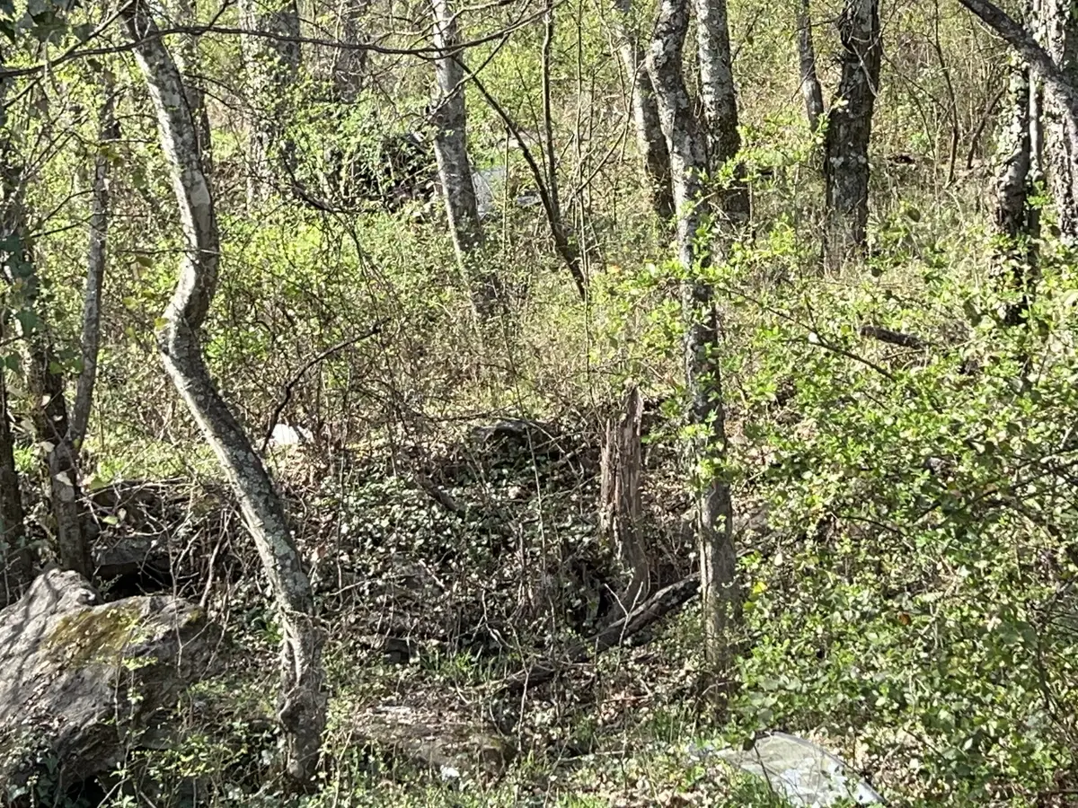 0 Sumpter St, Pulaski, TN 38478 - #1