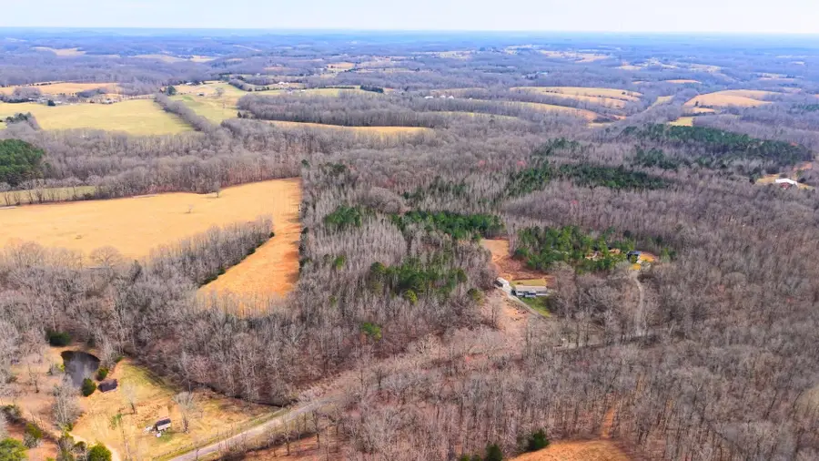 0 Tbd Davis Hollow Road, Minor Hill, TN 38473 - #2