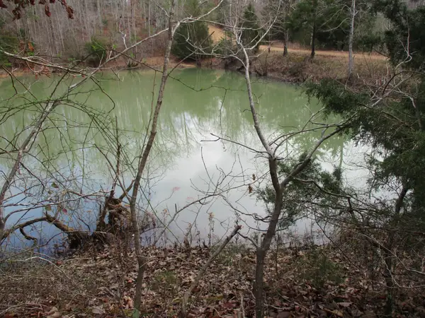 0 Split Lake Drive, Nunnelly, TN 37137