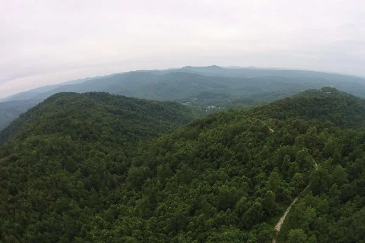 1 Straight Fork Road, Huntsville, TN 37756 - #1