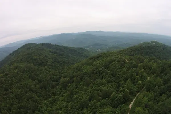 1 Straight Fork Road, Huntsville, TN 37756